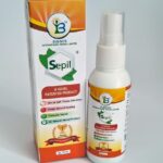 Sepil
